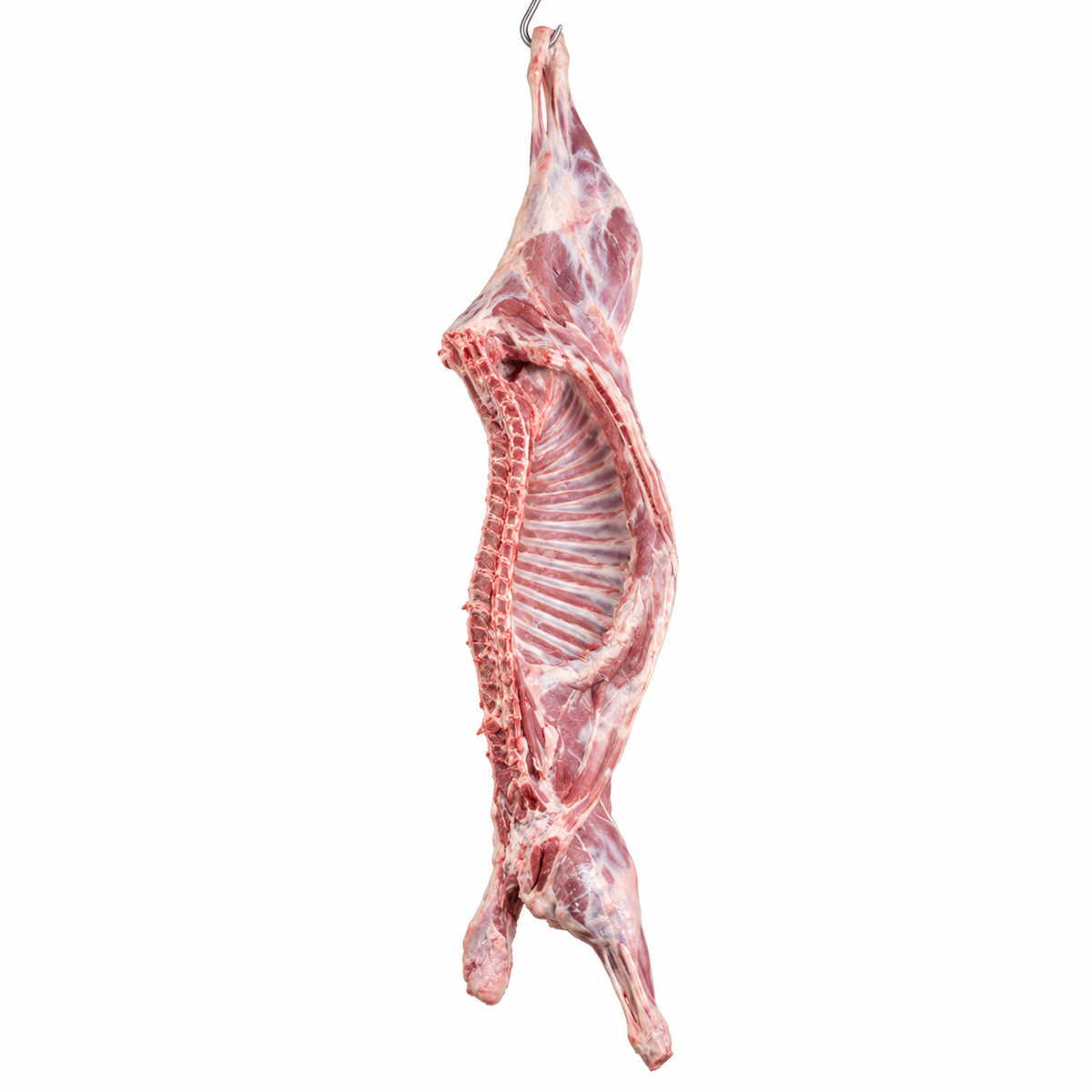 Half goat carcass, hanging against a white background