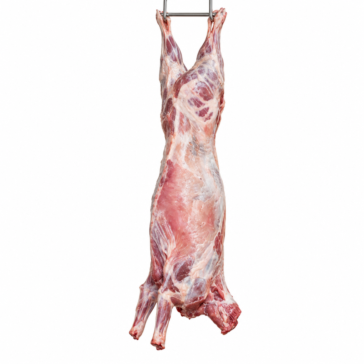 Whole goat carcass, hanging against a white background