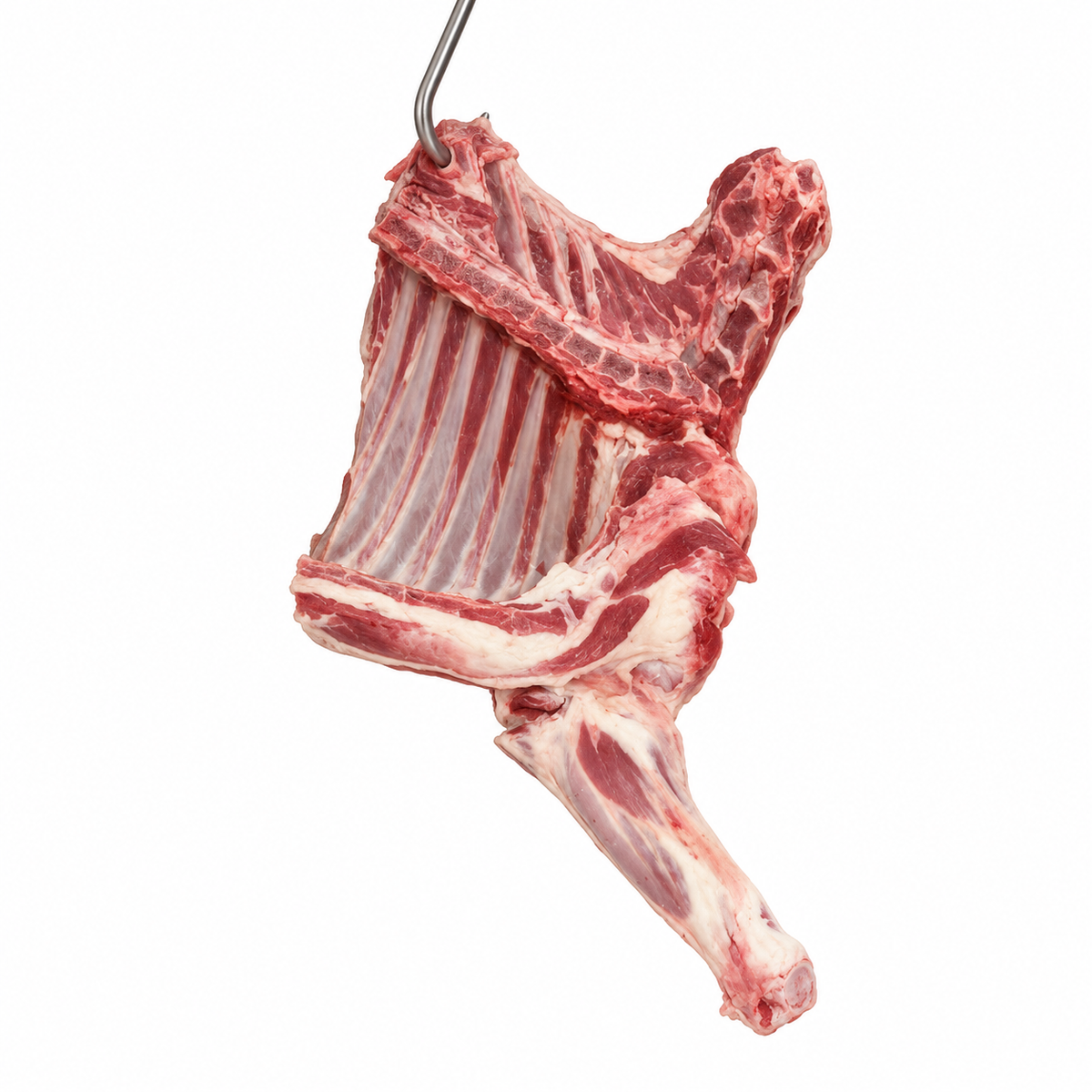 Lamb front quarter, hanging against a white background