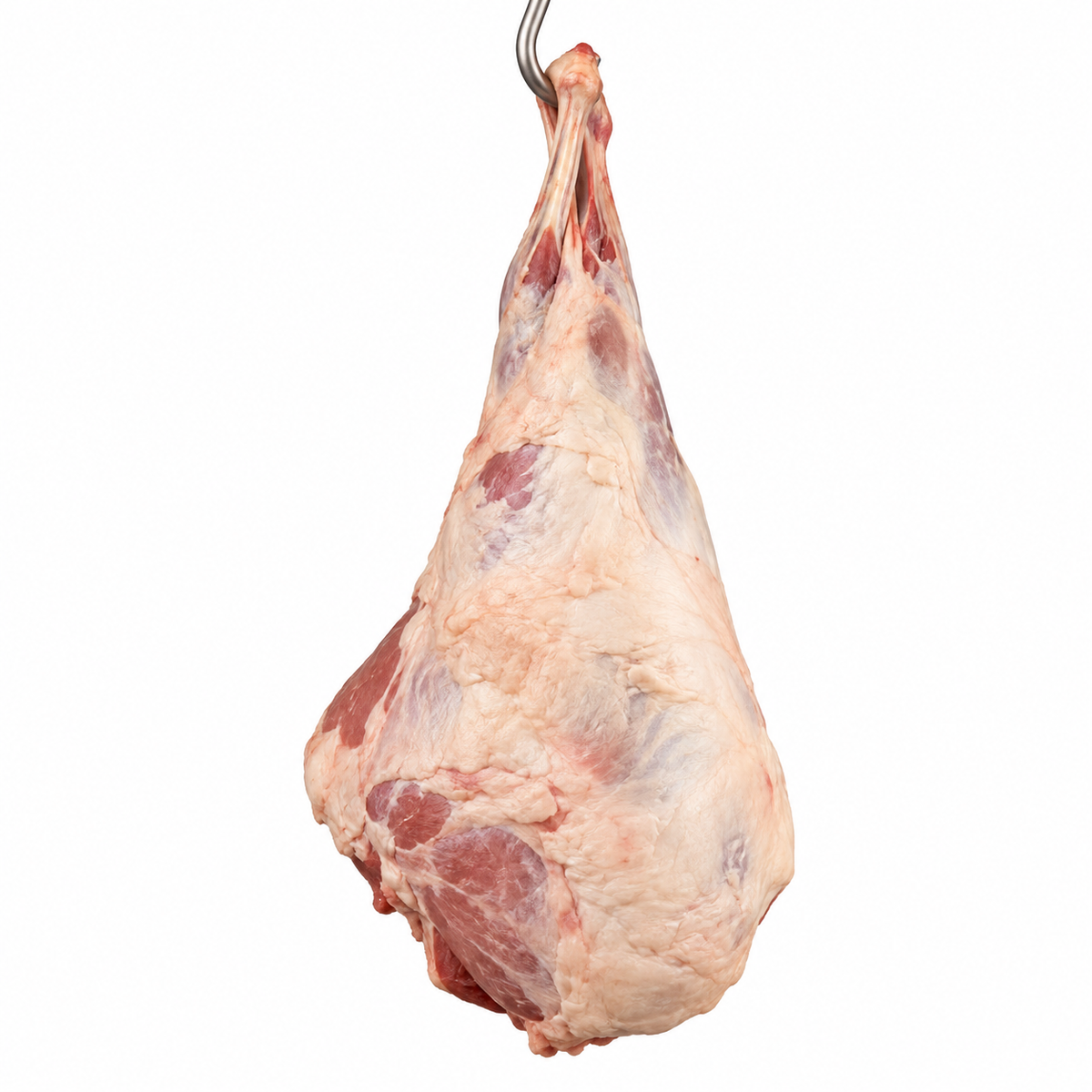 Lamb hindquarter, hanging against a white background