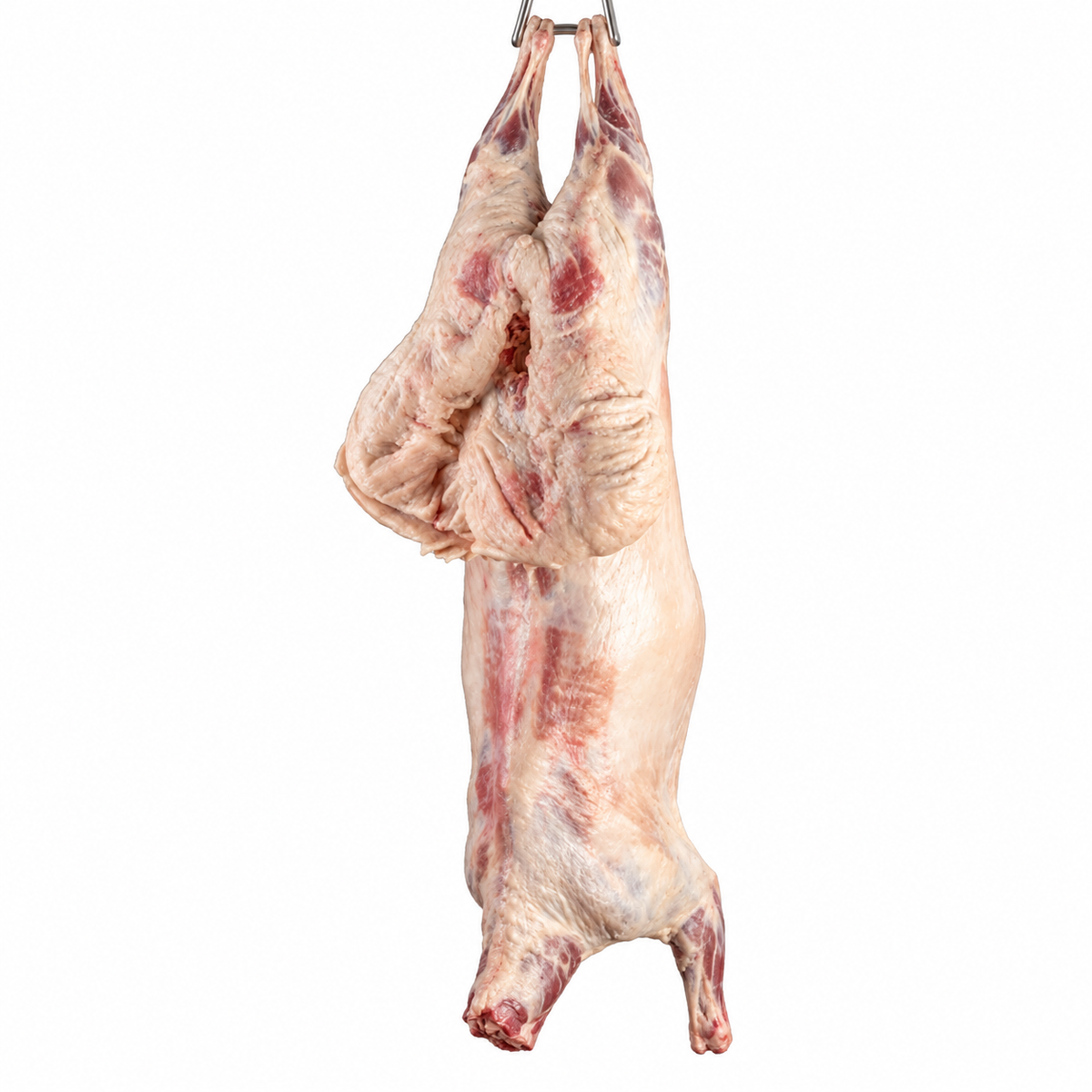 Whole lamb carcass, hanging against a white background